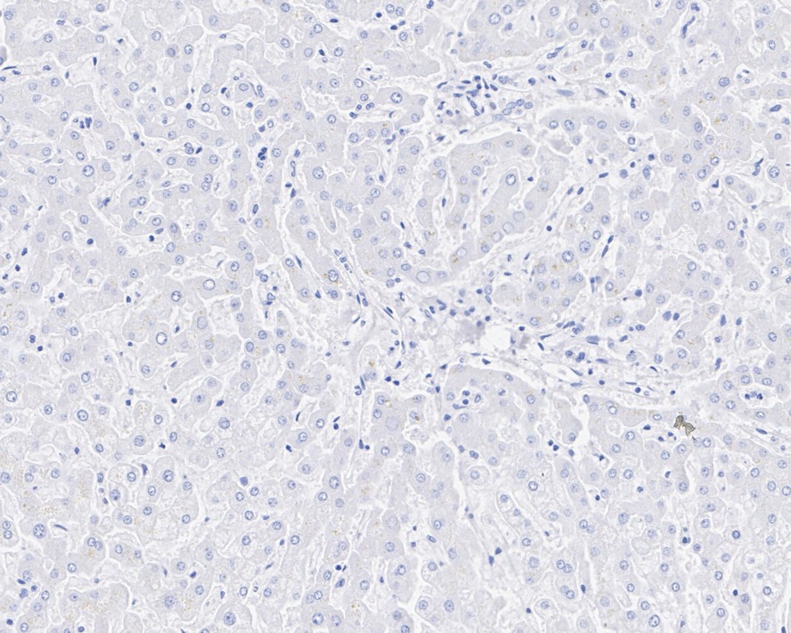 HA750818_8.jpg