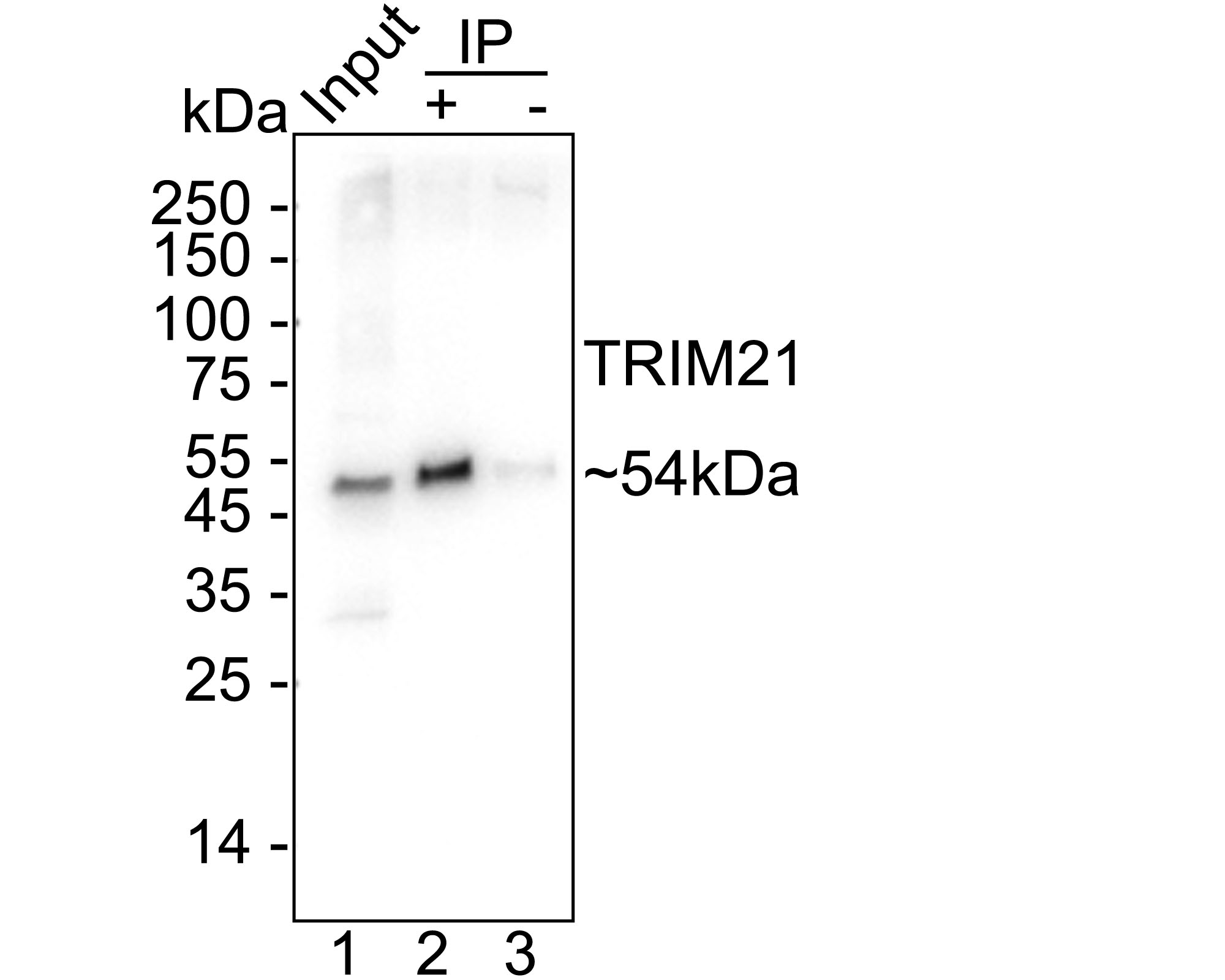 HA750819_7.jpg