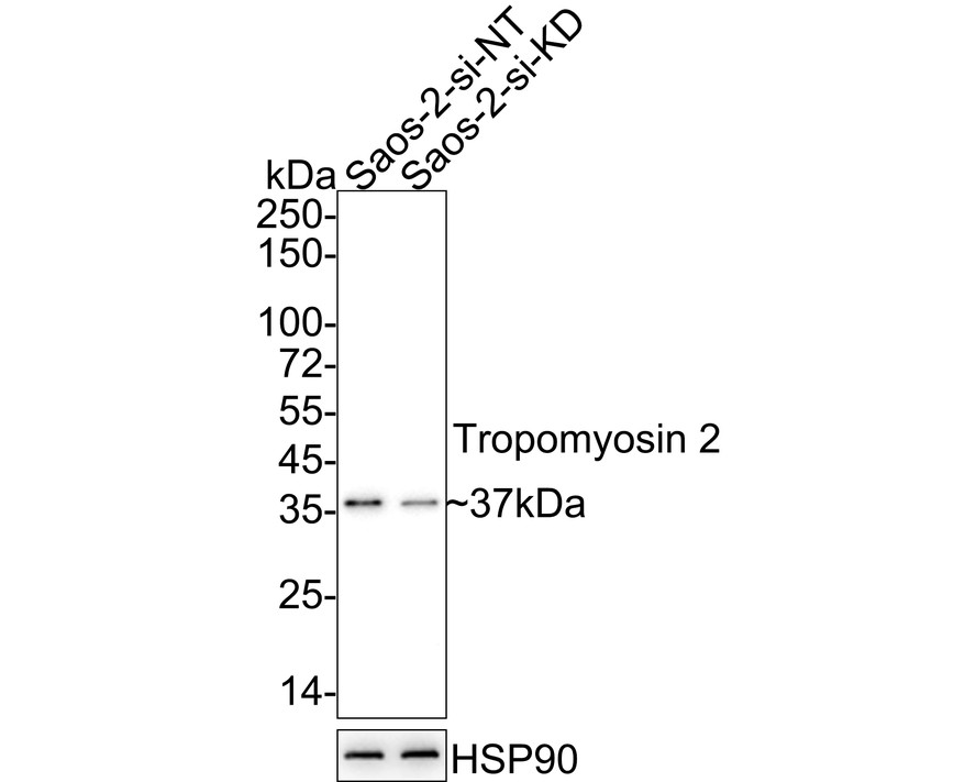 HA750820_2.jpg
