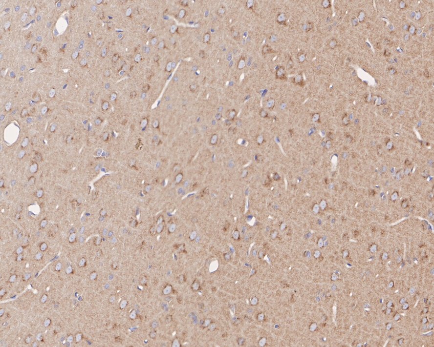 HA750822_3.jpg