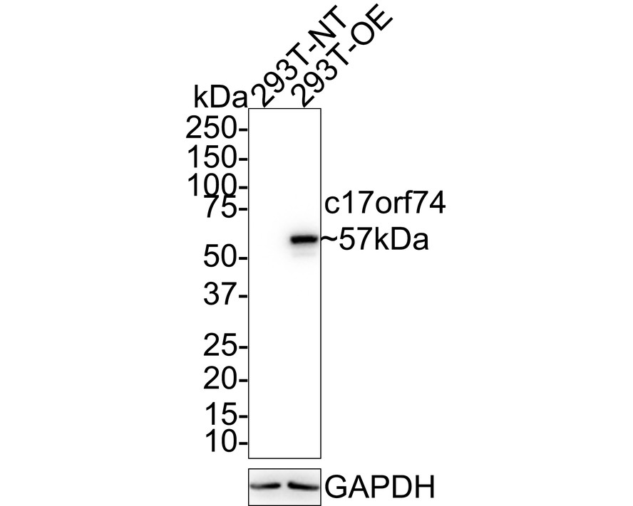 HA750823_1.jpg