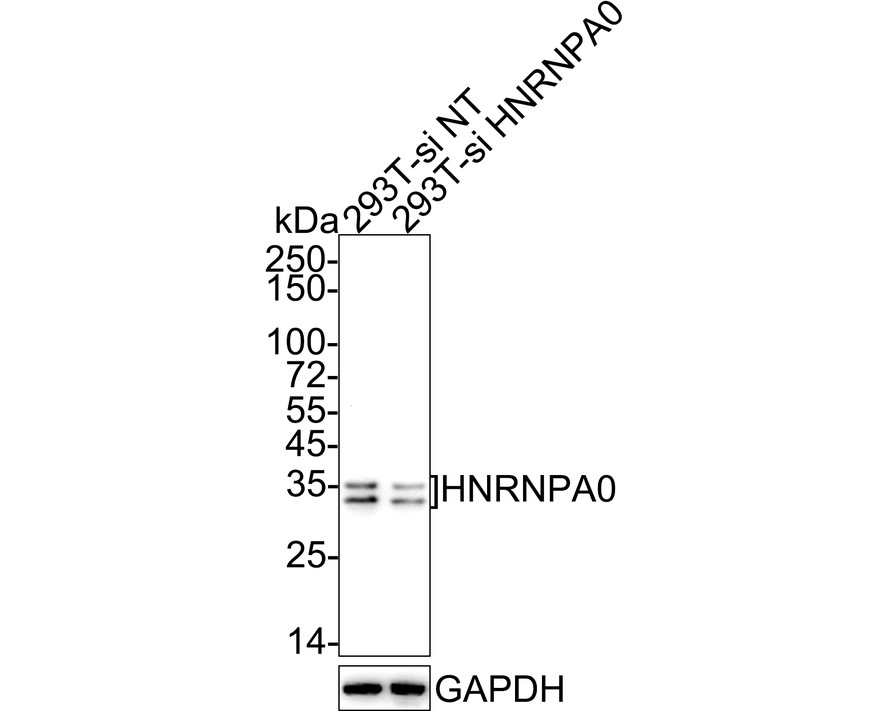 HA750832_14.jpg