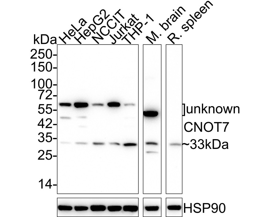 HA750836_1.jpg
