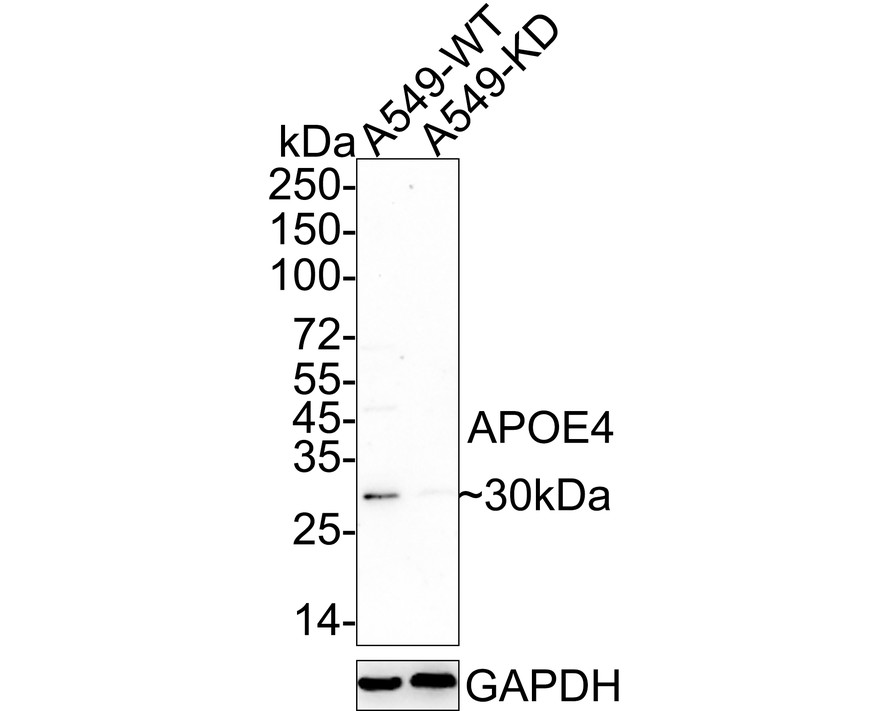 HA750838_2.jpg