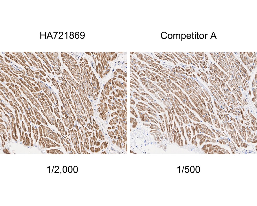 HA750839_3.jpg