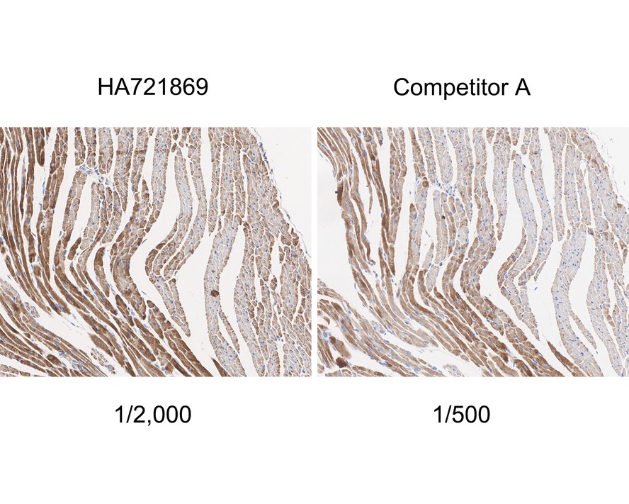 HA750839_5.jpg