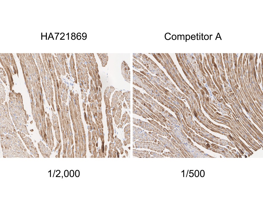 HA750839_7.jpg