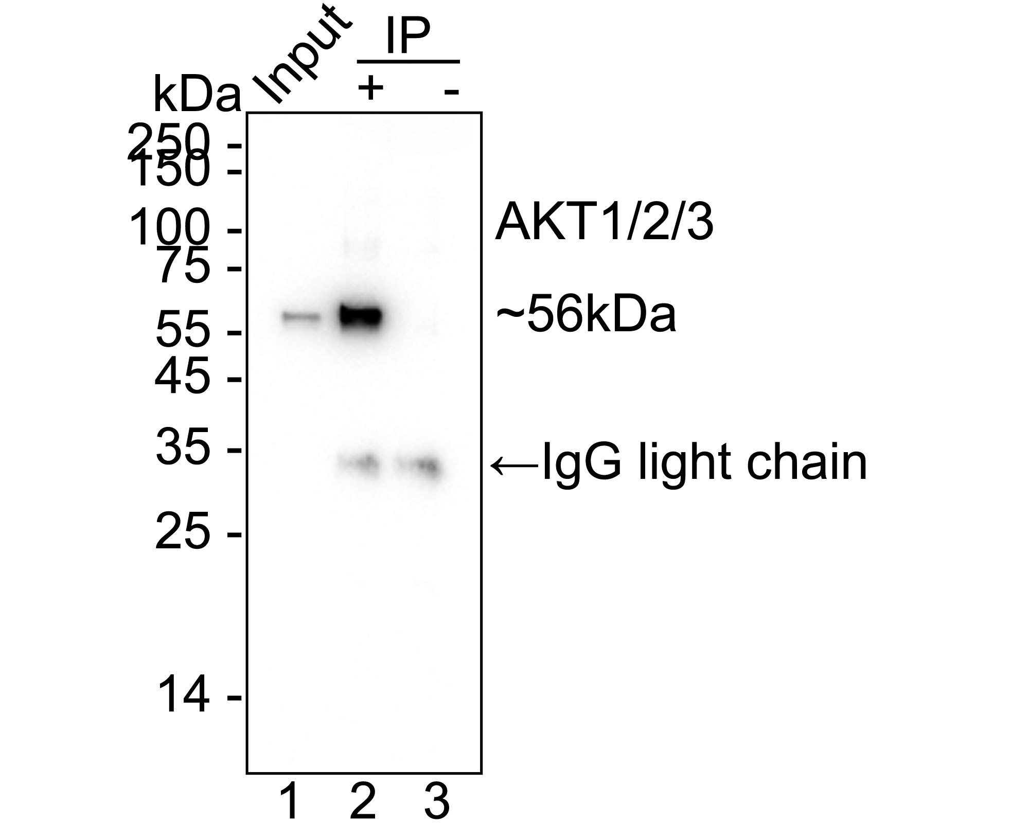 HA750840_4.jpg