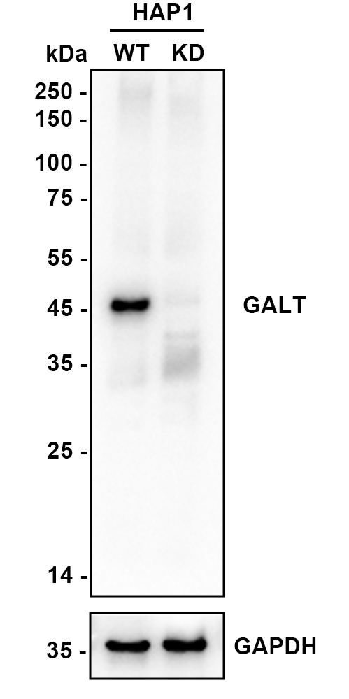 HA750842_2.jpg