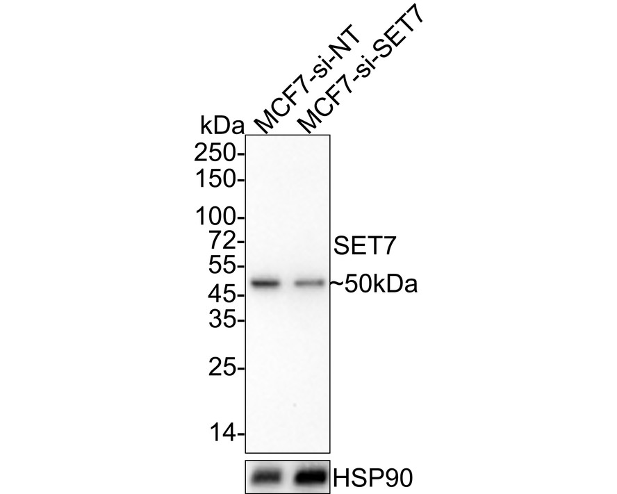 HA750845_4.jpg