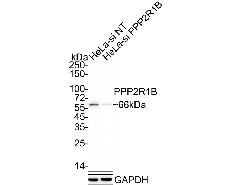 HA750847_7.jpg