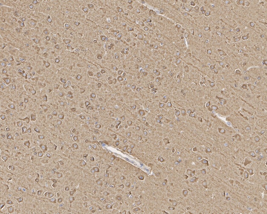 HA750850_3.jpg