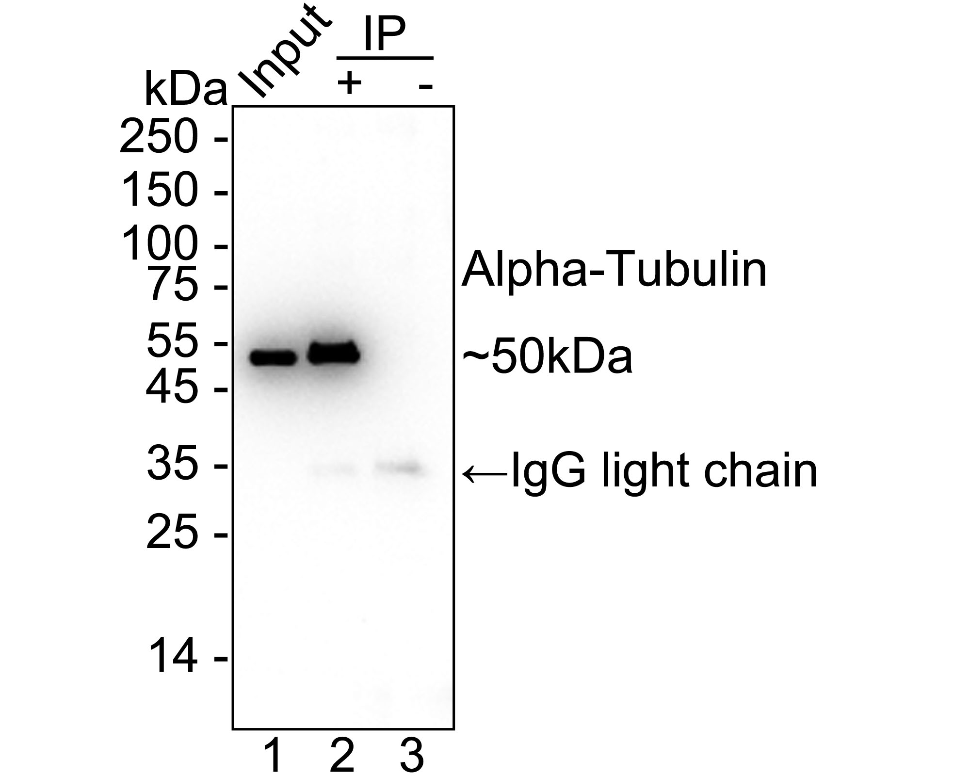 HA750850_7.jpg