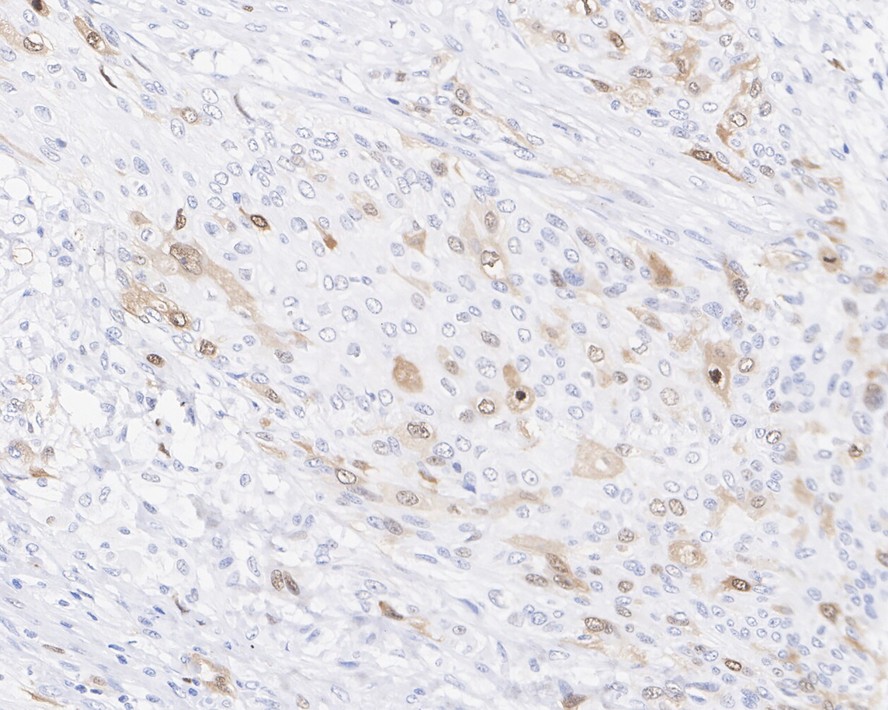 HA750876_2.jpg