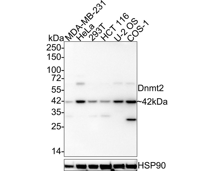 HA750877_1.jpg