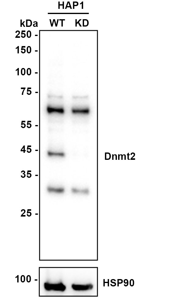 HA750877_2.jpg
