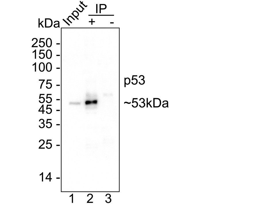 HA750920_3.jpg