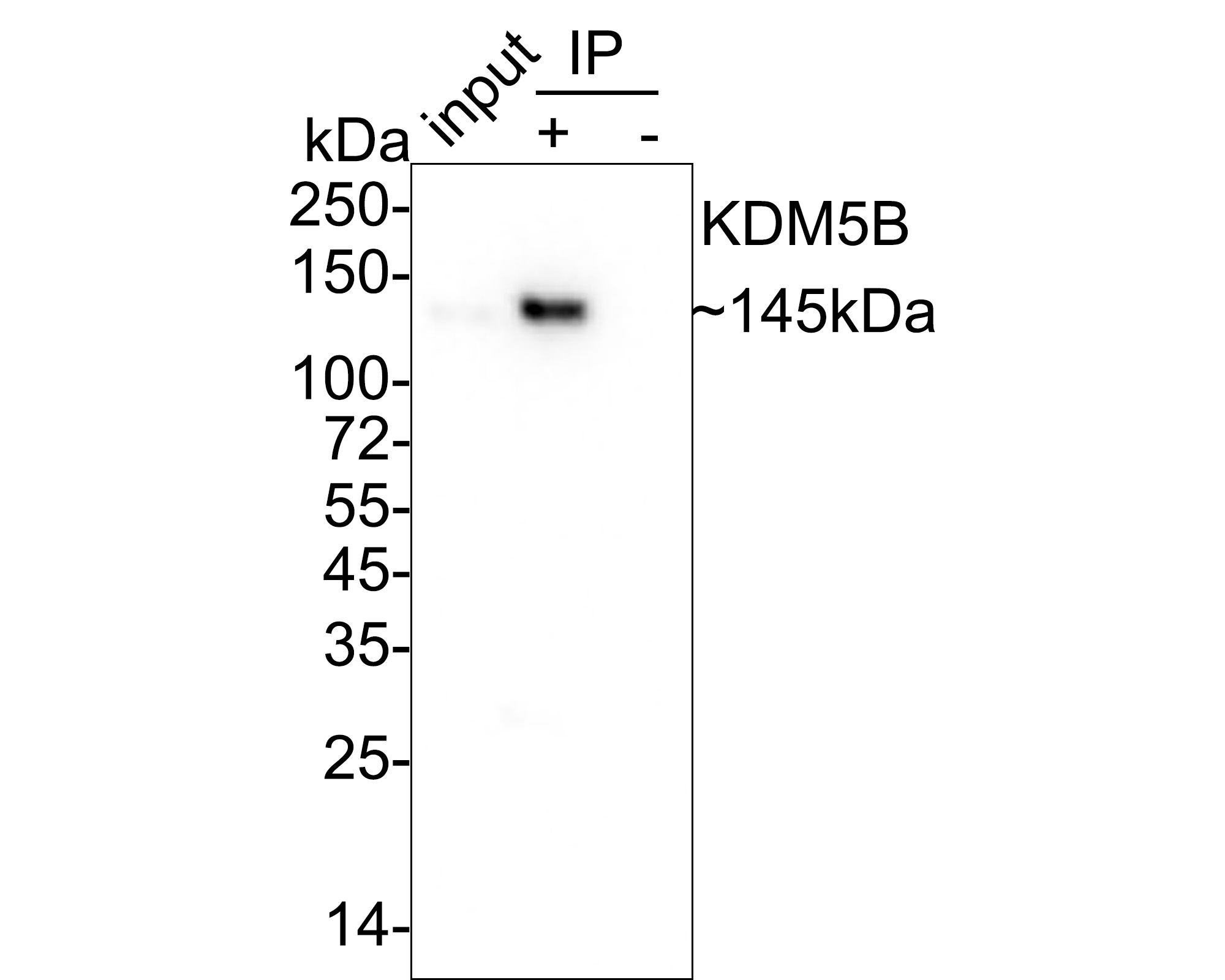 HA750922_2.jpg