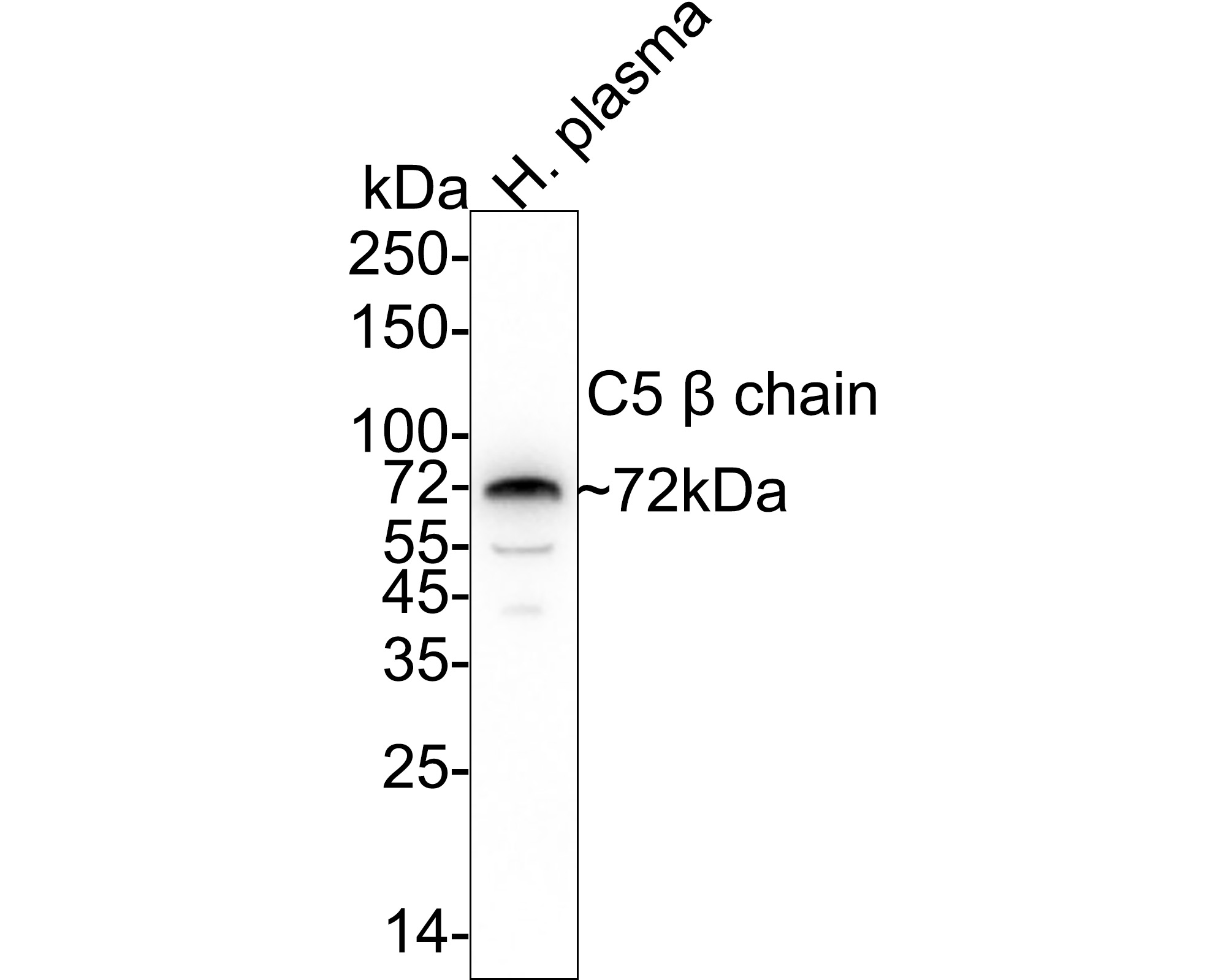HA750924_2.jpg