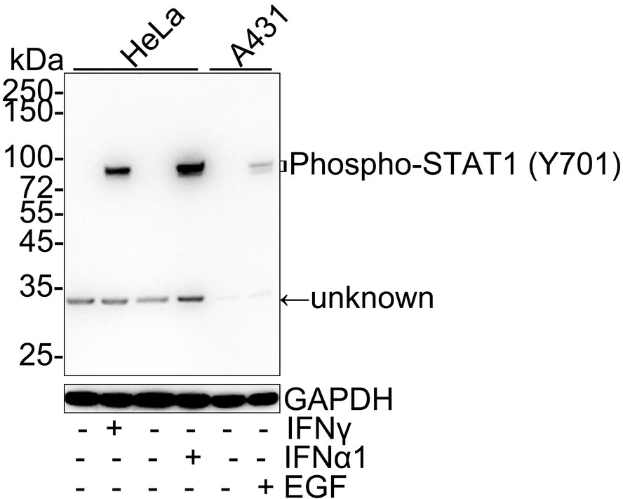 HA750925_1.jpg