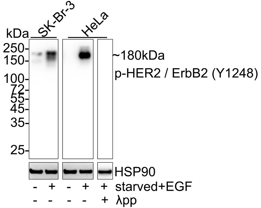 HA750926_1.jpg