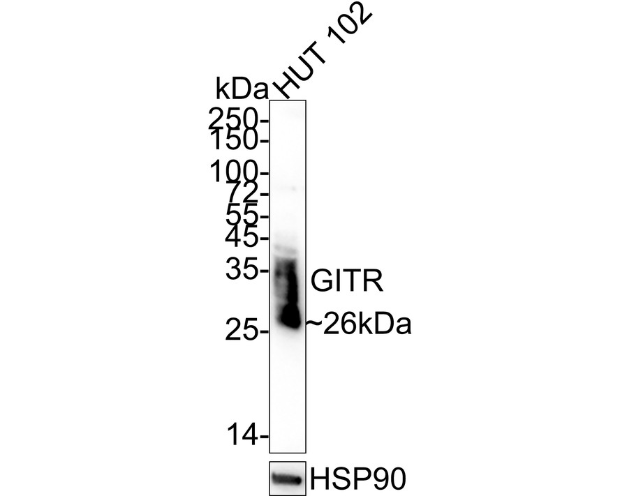 HA750929_1.jpg