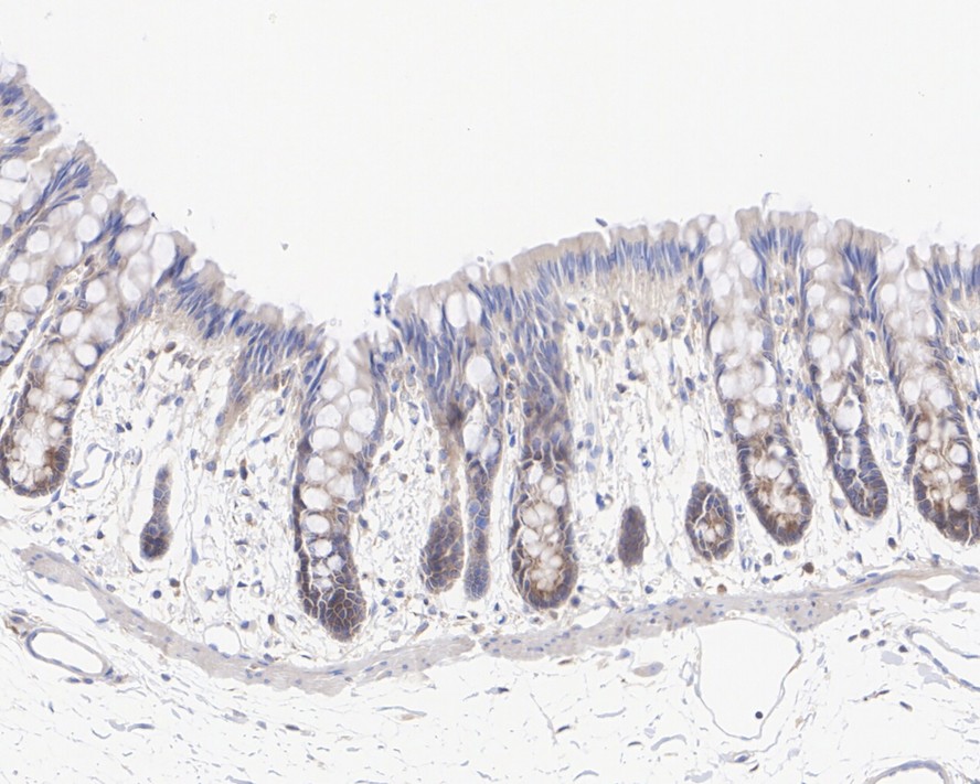HA750930_6.jpg
