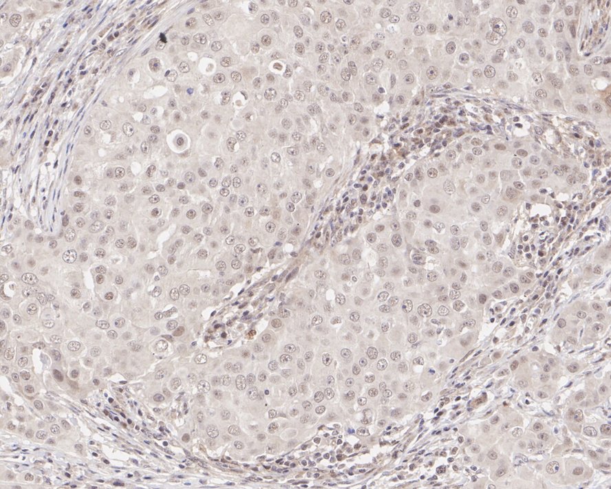 HA750931_3.jpg