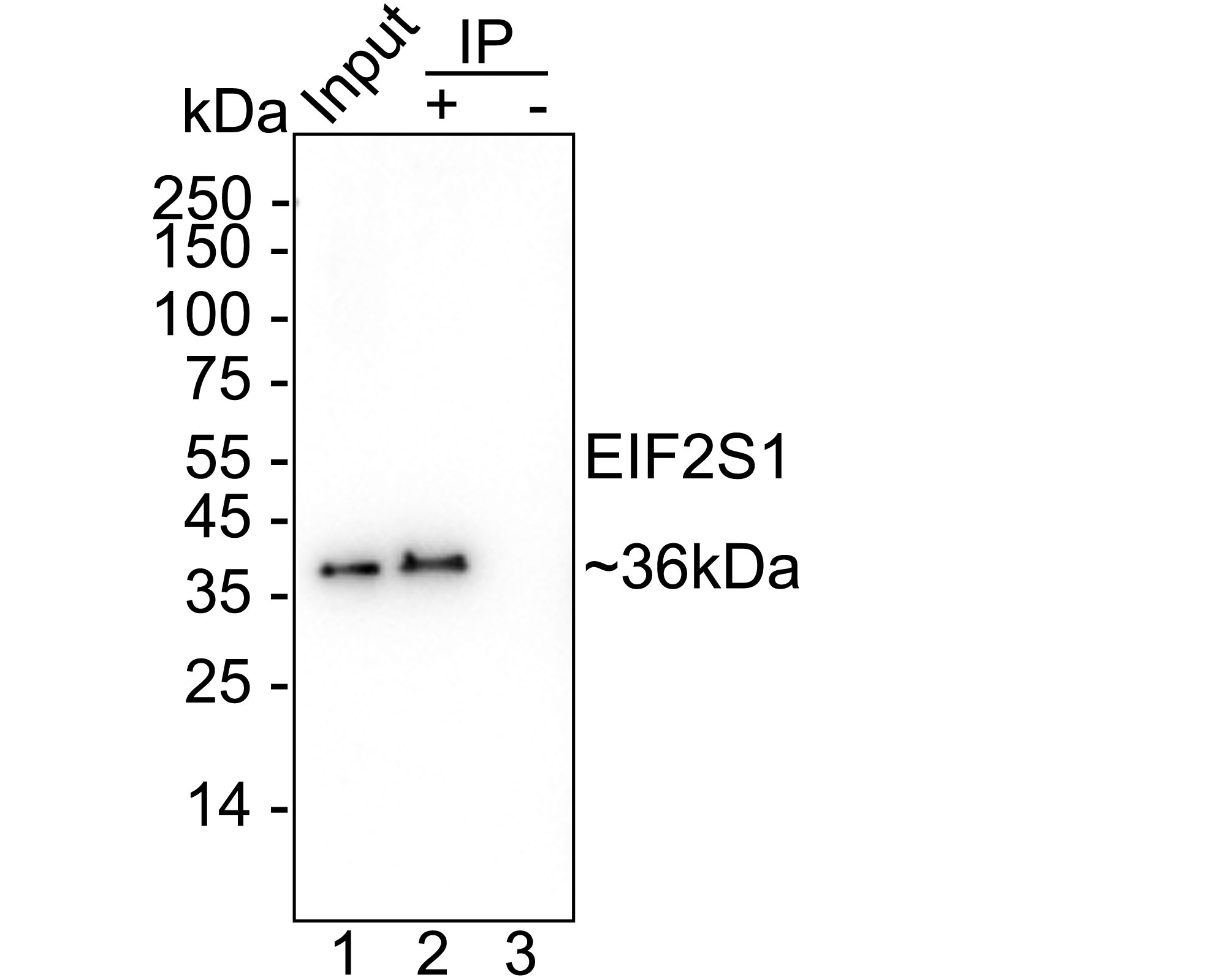 HA750938_7.jpg