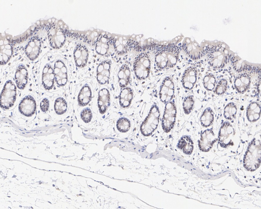 HA750939_5.jpg