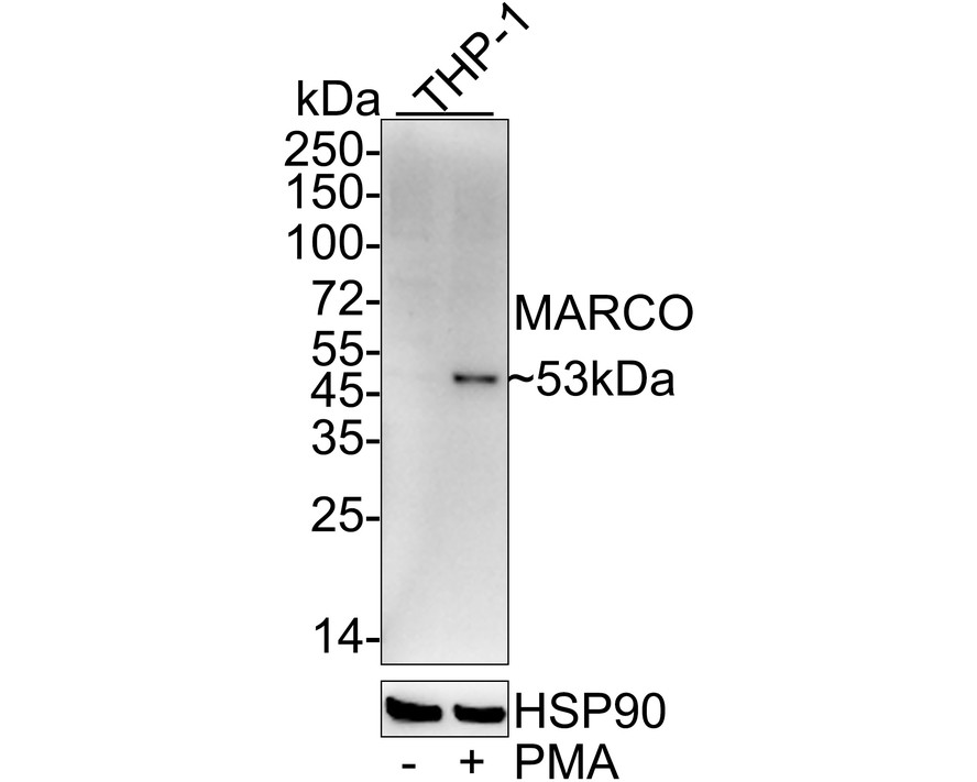 HA750940_2.jpg