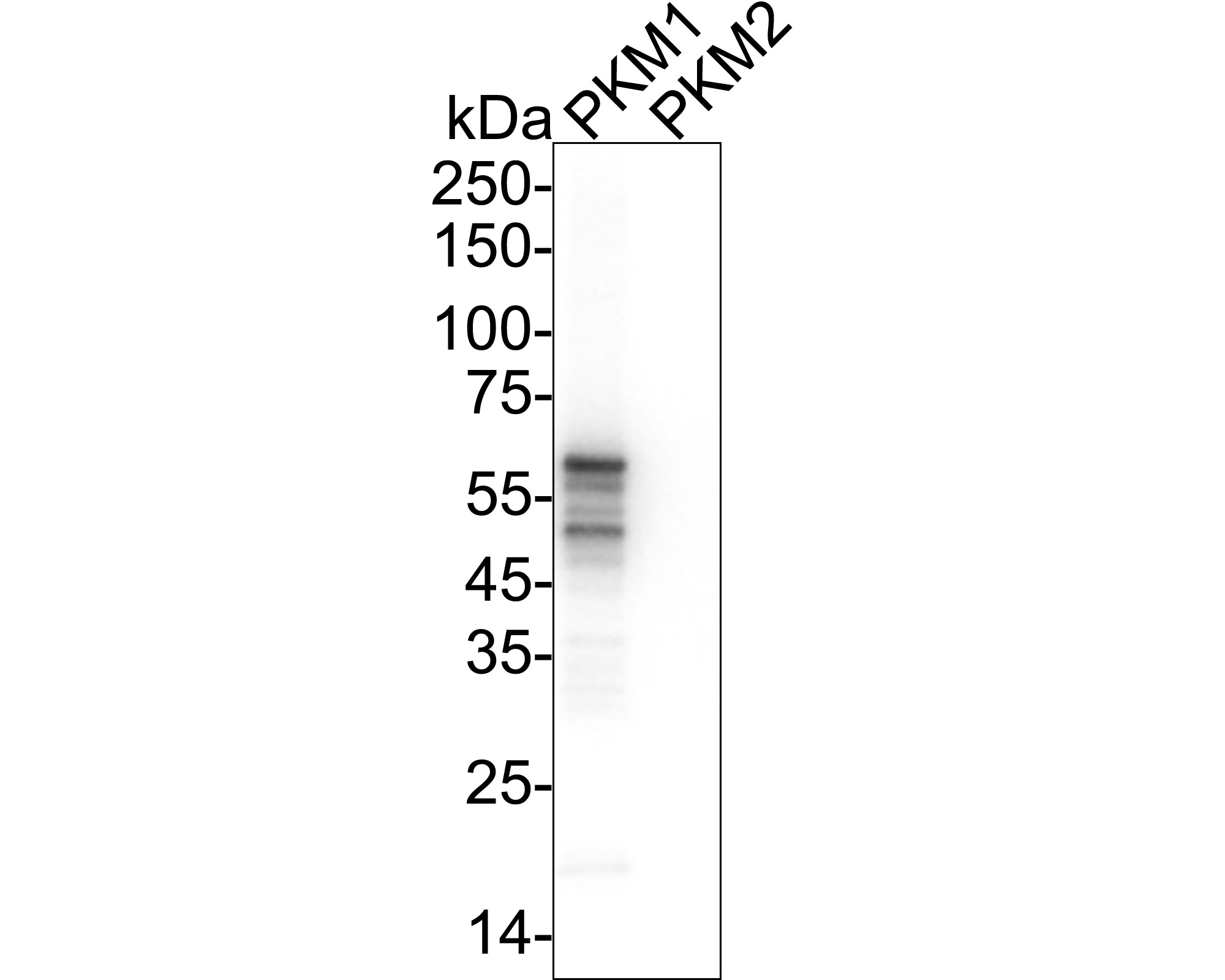 HA750946_7.jpg