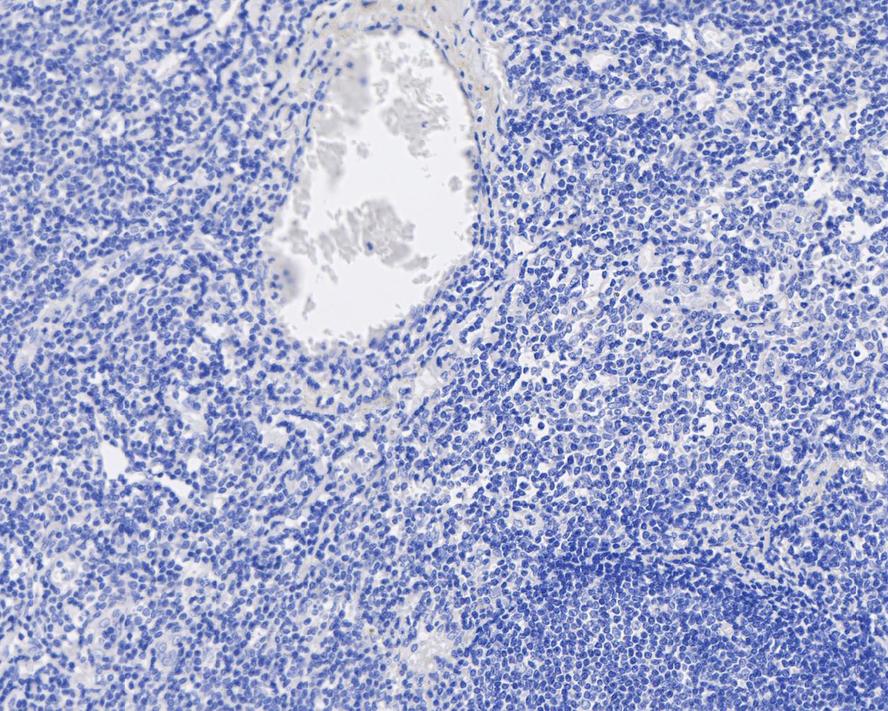 HA750948_2.jpg