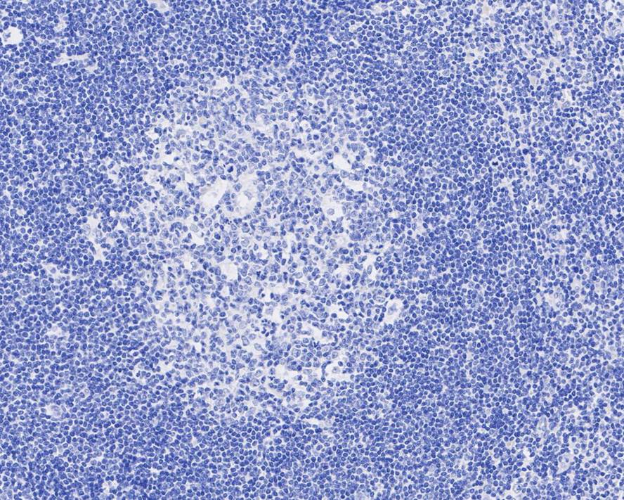 HA750949_3.jpg