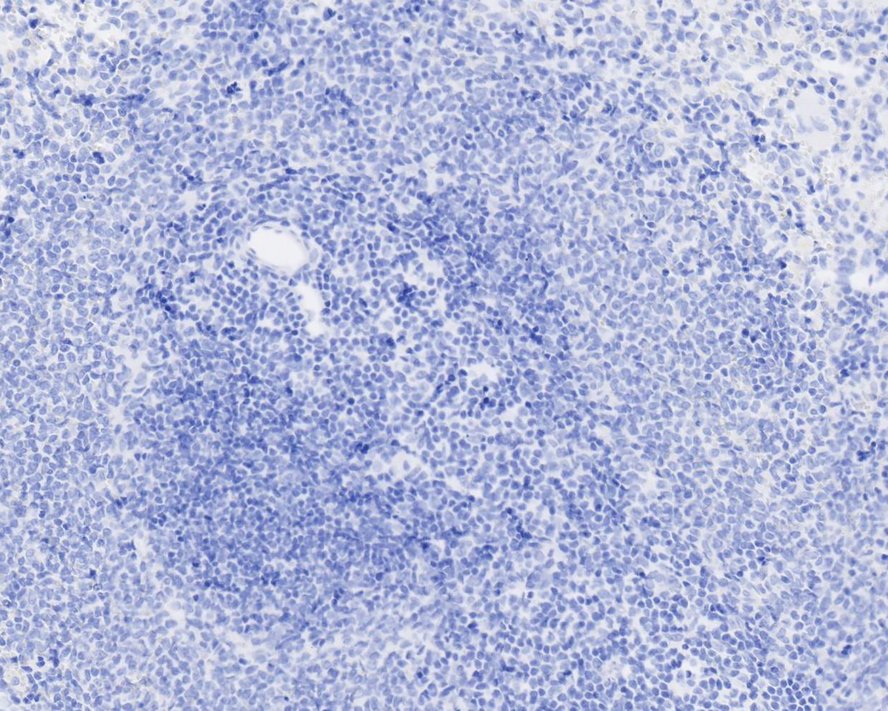 HA750949_5.jpg