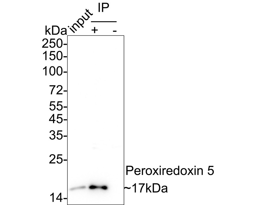 HA750951_11.jpg