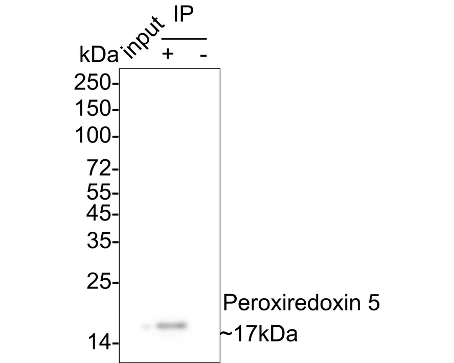 HA750951_12.jpg