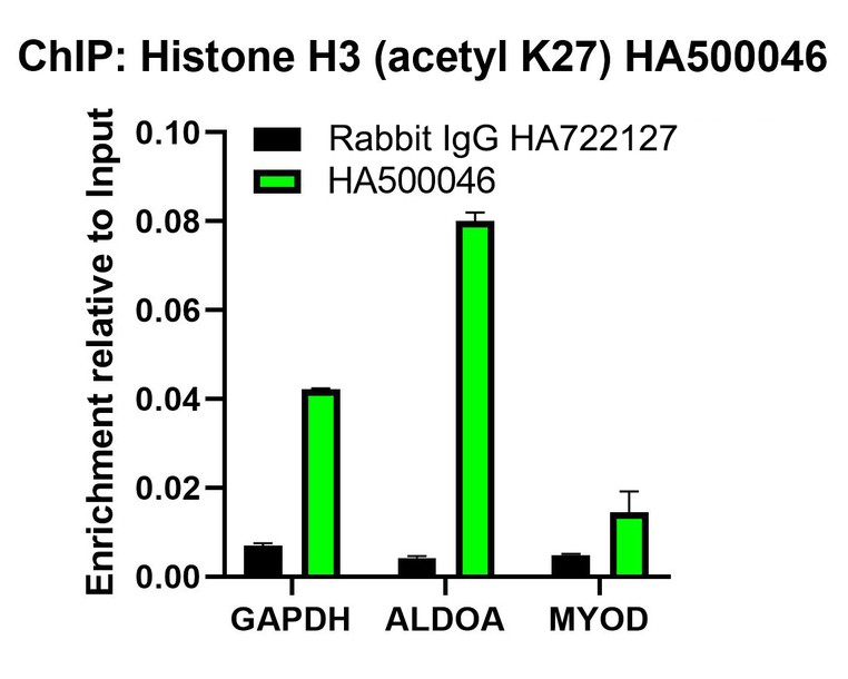 HA750951_13.jpg