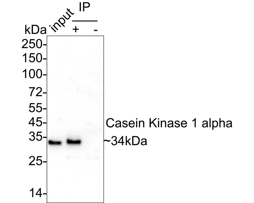 HA750955_4.jpg