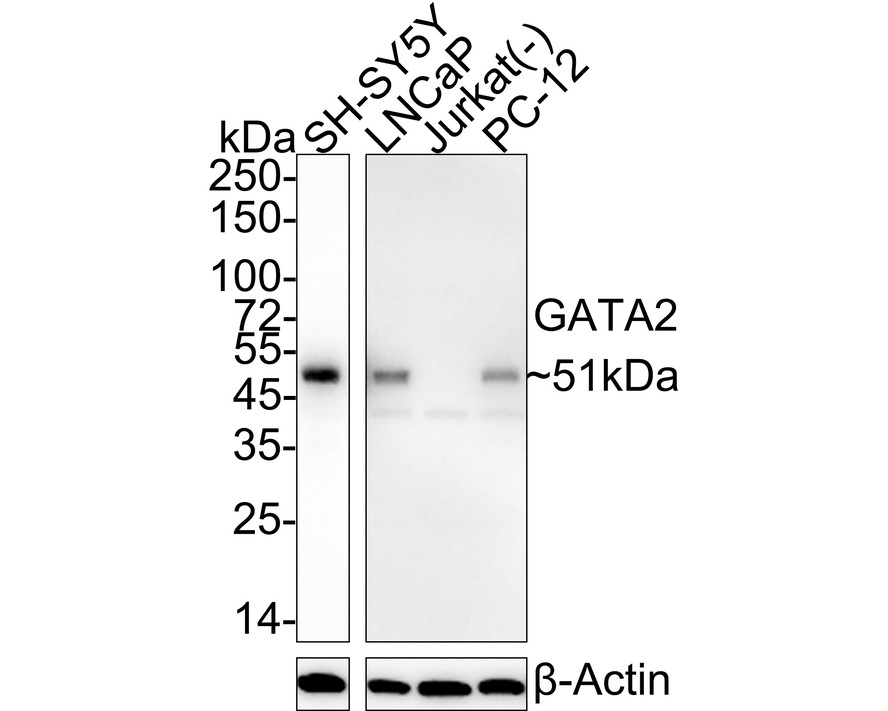 HA750960_1.jpg