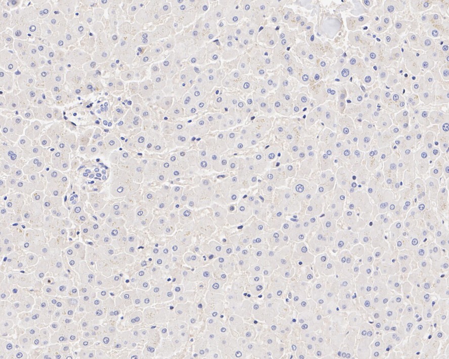 HA750999_6.jpg