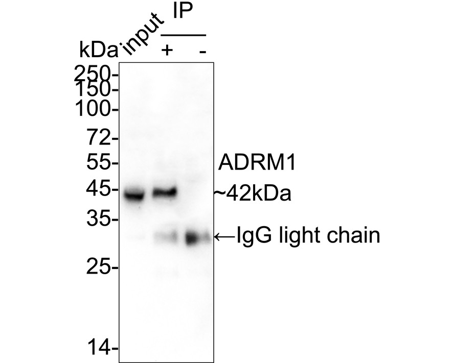 HA751000_8.jpg