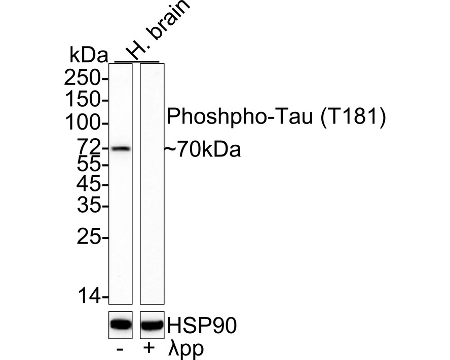 HA751001_1.jpg