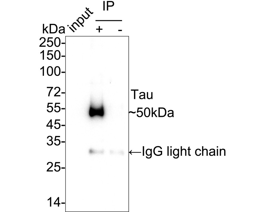 HA751009_6.jpg