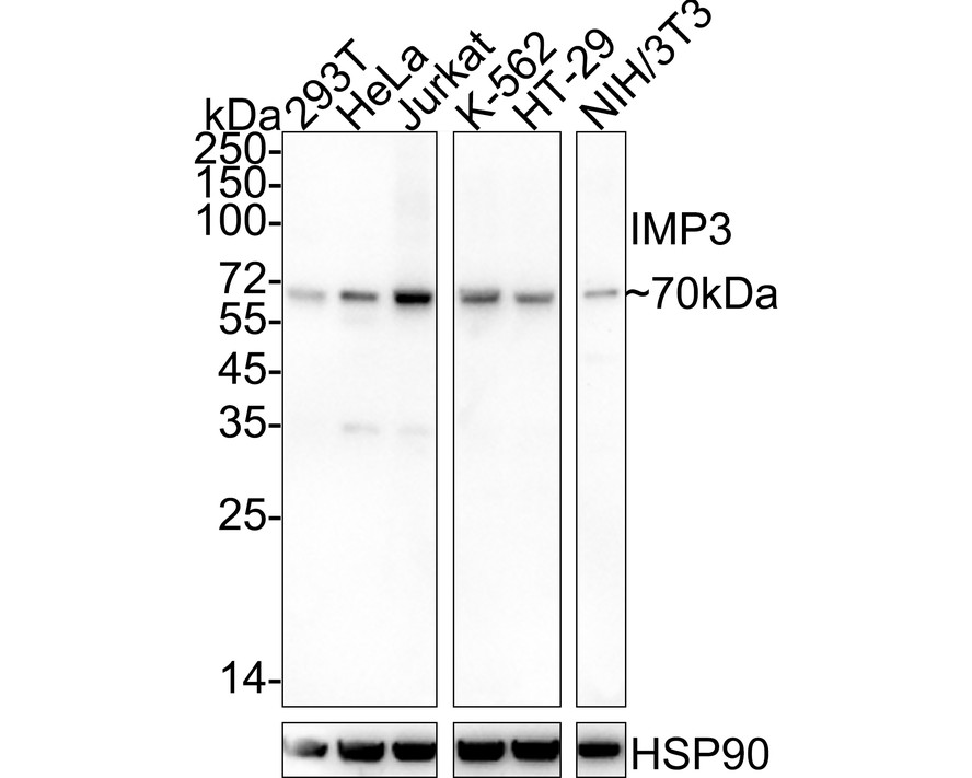 HA751013_1.jpg