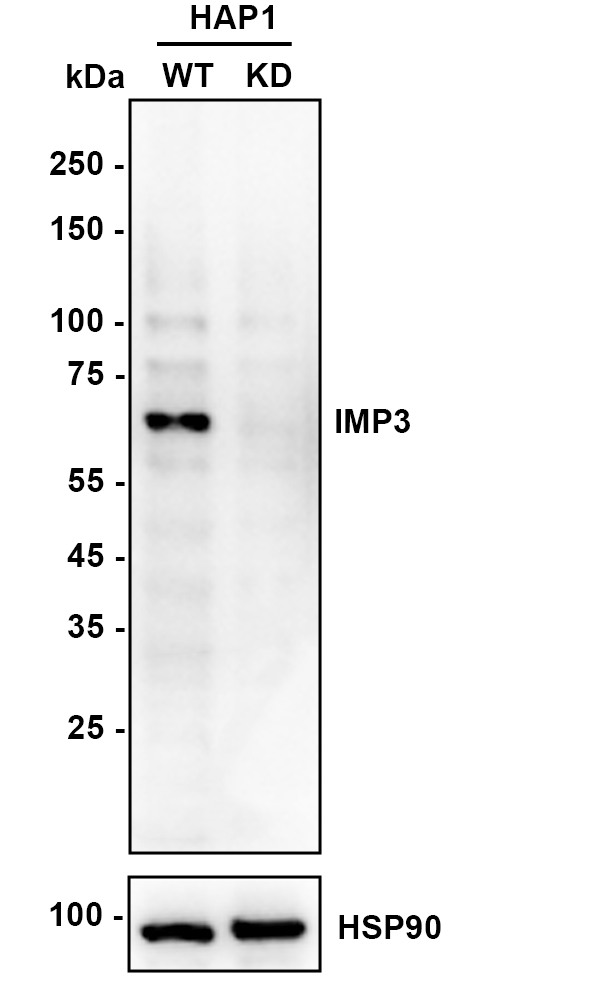 HA751013_2.jpg