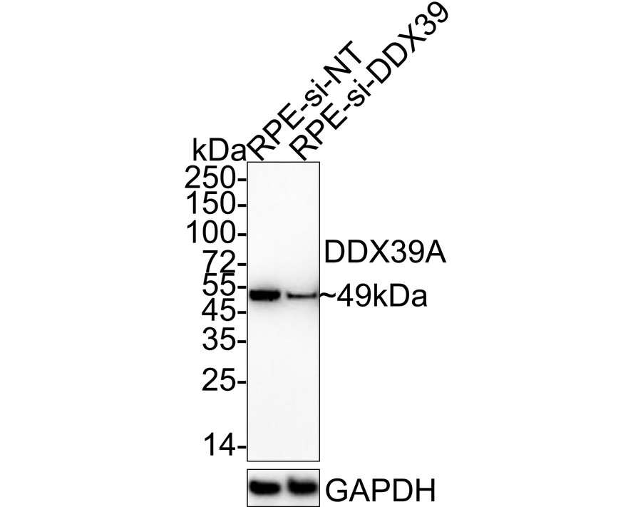HA751020_2.jpg