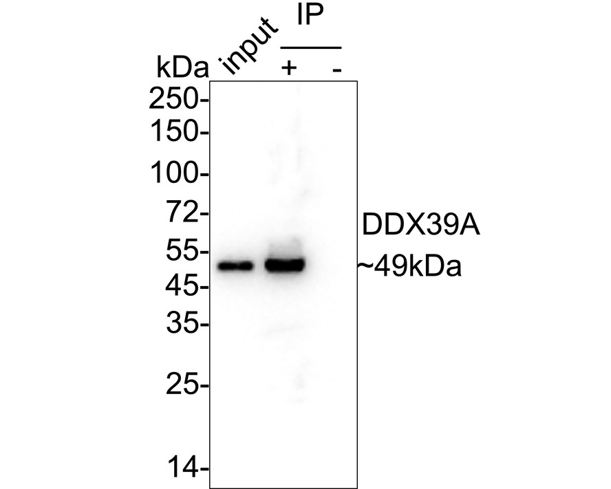 HA751020_6.jpg