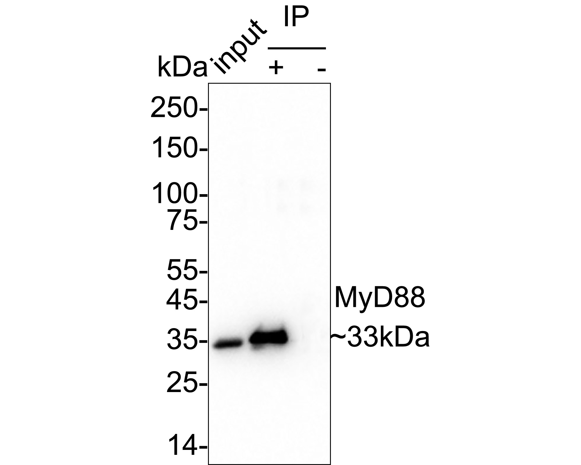 HA751021_6.jpg