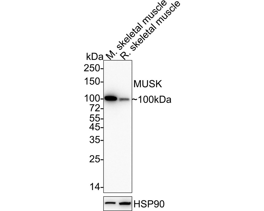 HA751022_1.jpg